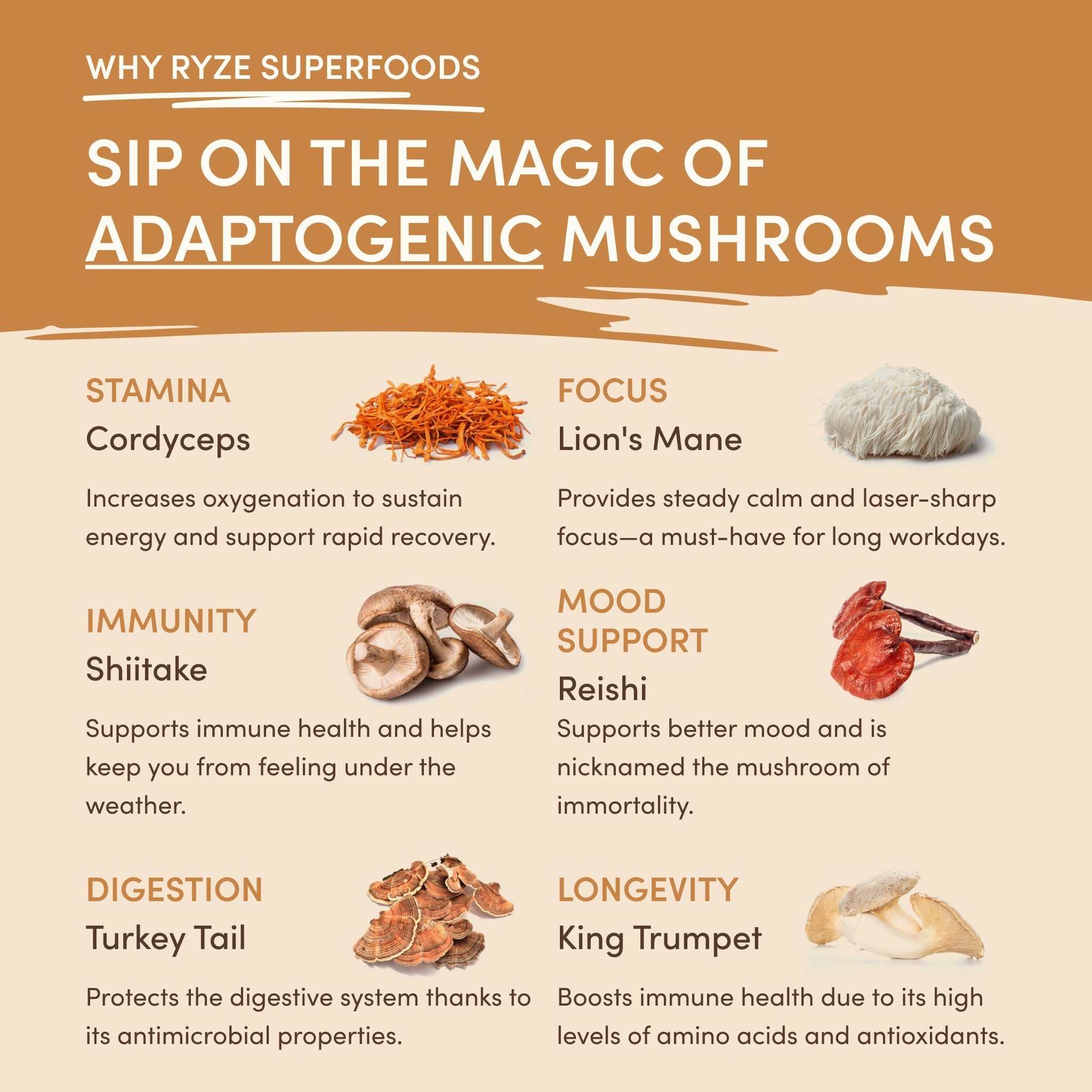 Mushroom Overnight Oats (14 Servings) - The Daily RYZE