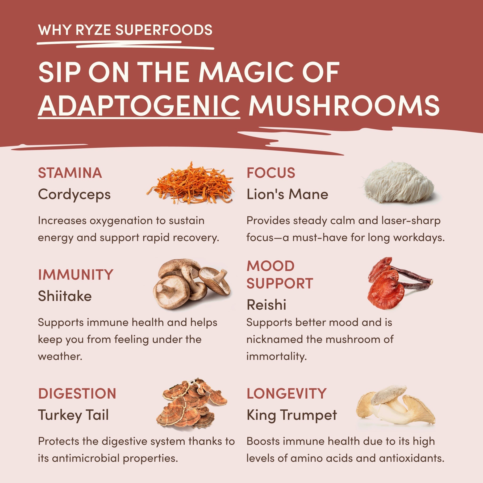 Mushroom Chicory (30 Servings) - Simple Morning Coffee