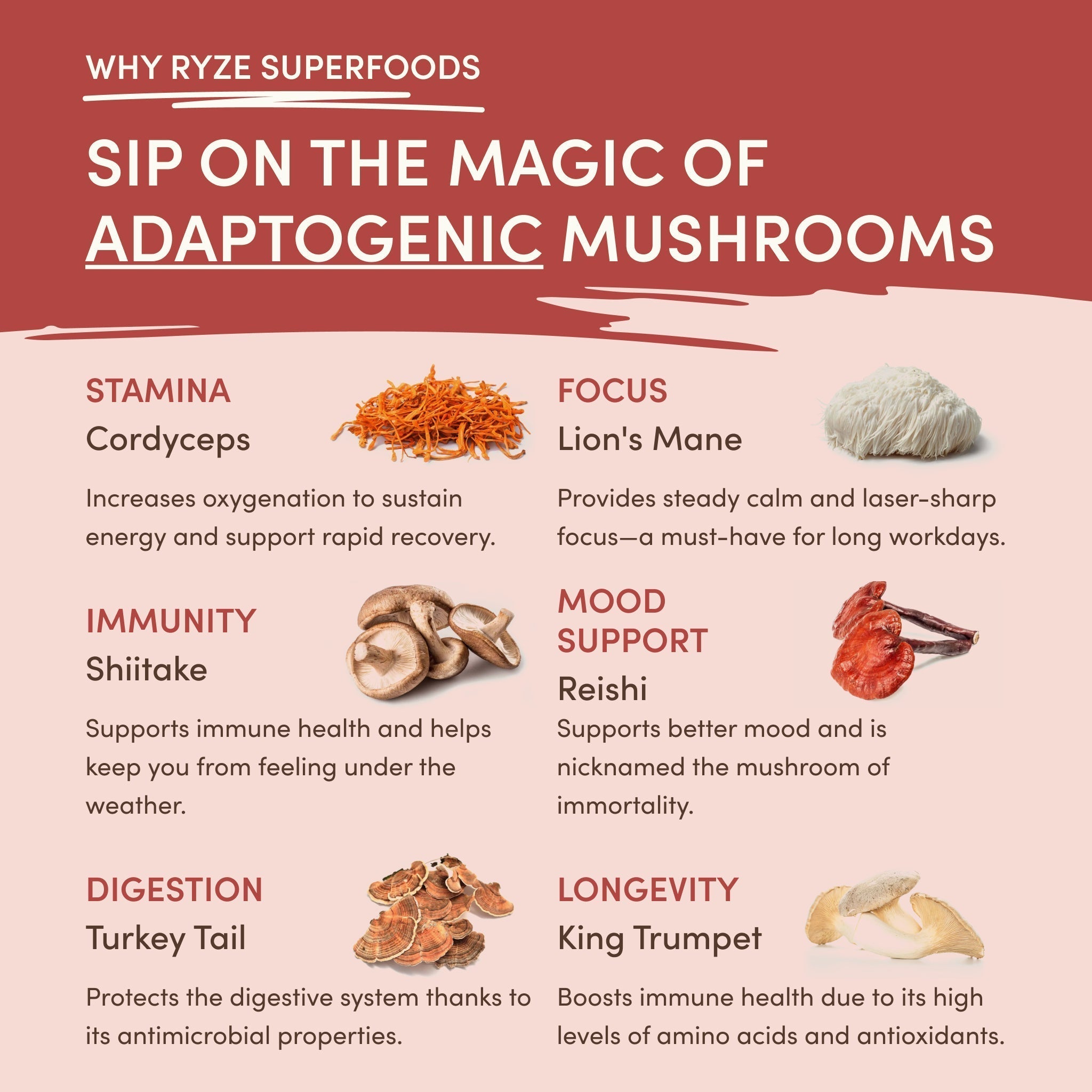 Mushroom Chai (20 Servings) - RYZE Coffee Moment