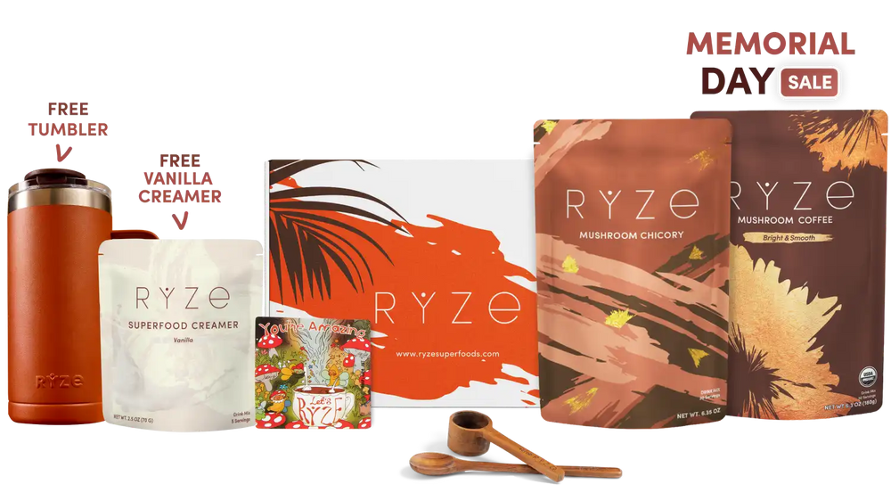 Lasting Energy Bundle (Chicory + Coffee) - Smooth Coffee Moment