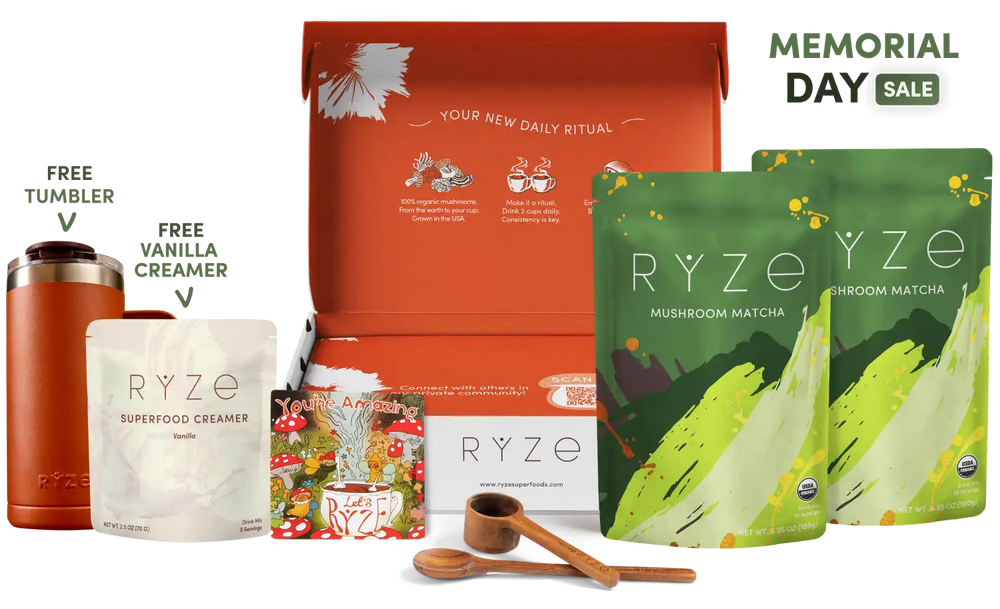 Mushroom Matcha Starter Kit (60 Servings) - The Better Cup