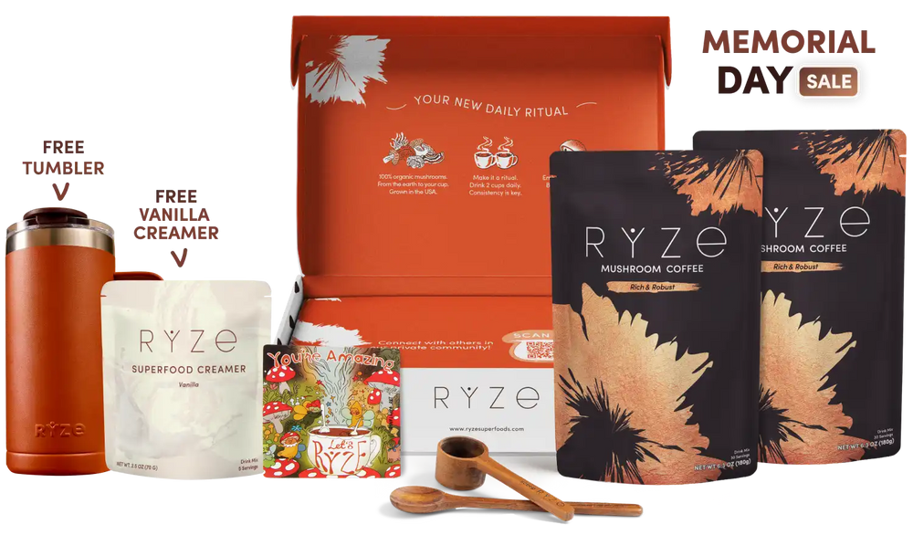 Mushroom Coffee Dark Roast Starter Kit (60 servings) - Daily Coffee Ritual